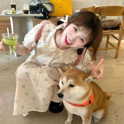 今天开始闪耀登场